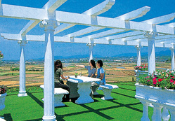 �΂��ϐF�����ʐ^