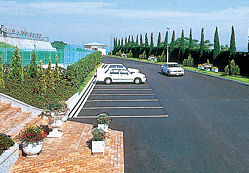 �΂��ϐF�����ʐ^