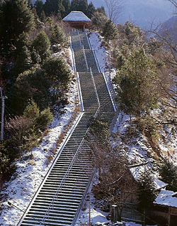 �F�{�������p�ٓ���