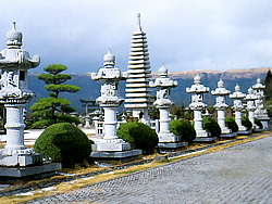 �F�{�������p�ٓ���