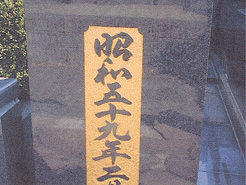 �΂��ϐF�����ʐ^